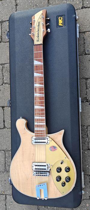 Rickenbacker 660/6